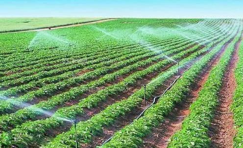 找个美女操逼视频看看农田高 效节水灌溉